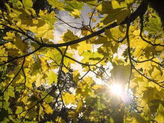 金龙山国家森林公园