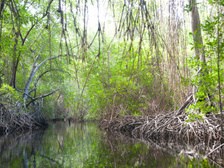 呼兰河口湿地风景区