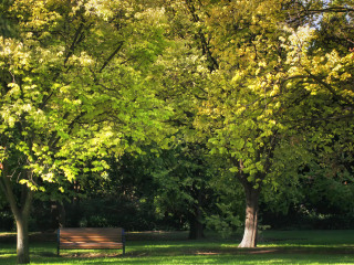 墨尔本皇家植物园
