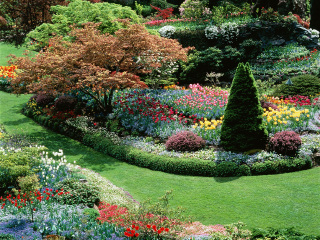 塞舌尔国家植物园