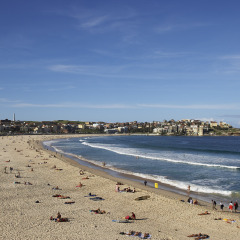 邦迪海滩 景点模块