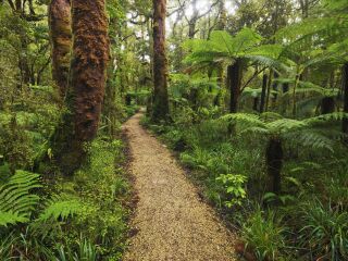 穆尔森林国家公园