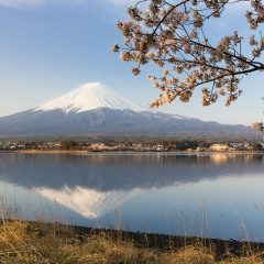 芦之湖