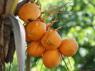 玛依谷地自然保护区