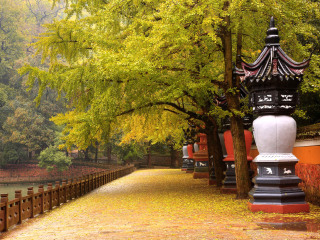 天童寺