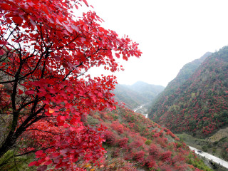 金龙山国家森林公园