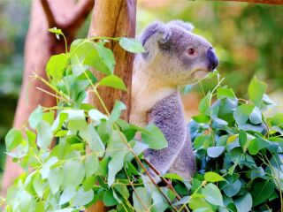 香江野生动物世界