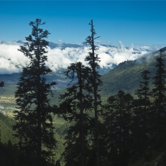 景点模块 