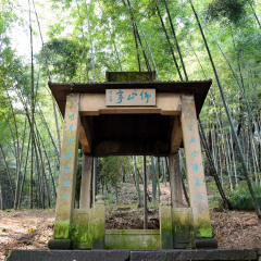 虎跑公园