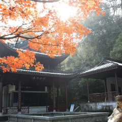 虎跑公园