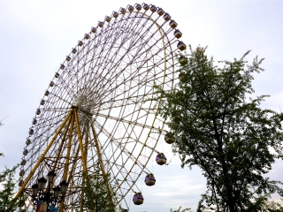 成都国色天乡摩天轮