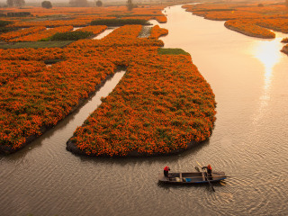 溱湖国家湿地公园