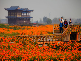 溱湖国家湿地公园