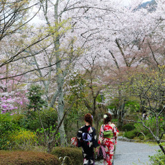 岚山公园