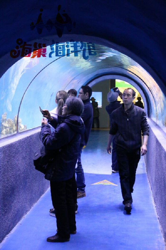 昆明首家水族馆开业-海巢海洋馆