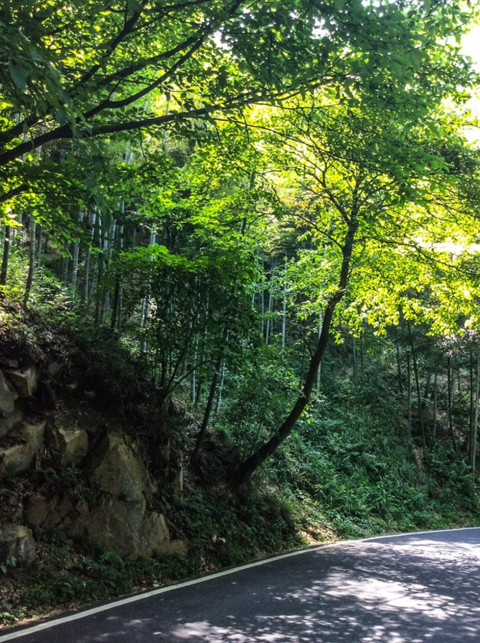 從清涼亭向上可以達到武陵村和大坑景區,向下可以到劍池,蘆花蕩公園