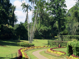 马特莱国家香料园