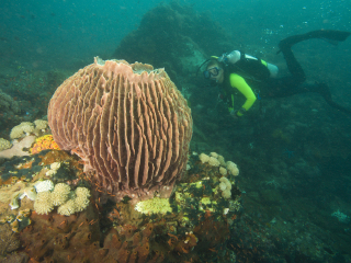 德贝潜水水上运动中心