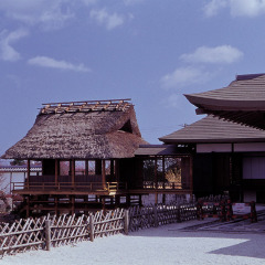 静冈县