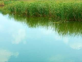 呼兰河口湿地风景区