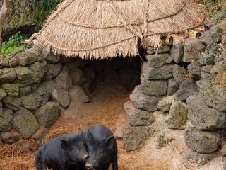 济州民俗自然史博物馆