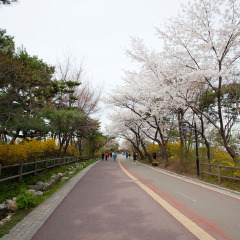 景点模块 