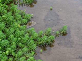 广州永乐绿色生态农庄