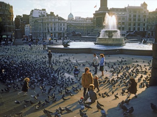 特拉法尔加广场