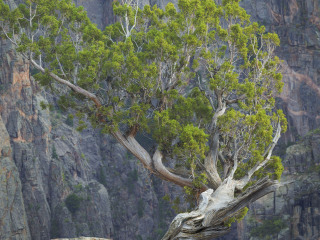 甘尼逊黑峡谷国家公园