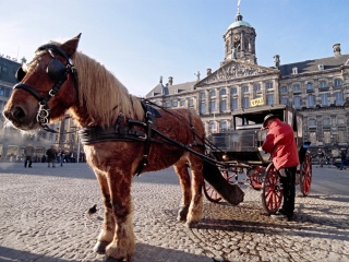 阿姆斯特丹王宫