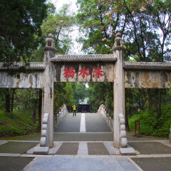 曲阜旅游