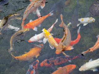 美丽海万国海洋公园