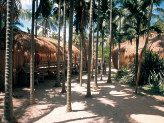 百越民族文化村