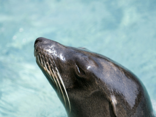天涯热带海洋动物园