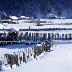 雪乡