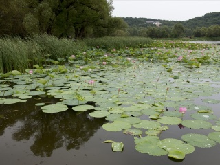 净月潭风景名胜区