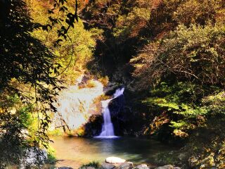 天竺山森林公园