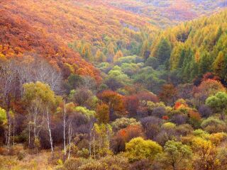 长寿山国家森林公园