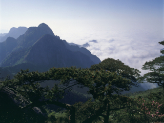 牯牛降自然保护区