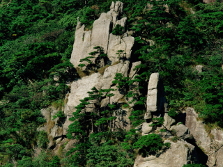 牯牛降自然保护区