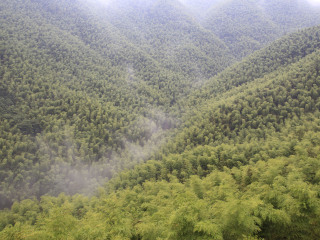 湖州安吉浙北大峡谷