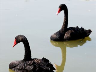 秦岭野生动物园