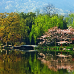 景点模块 