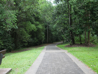 库仑达热带雨林