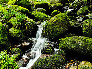 冷水河自然保护区