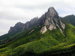 龙头大山自然保护区