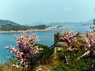 舟山桃花岛射雕影视城