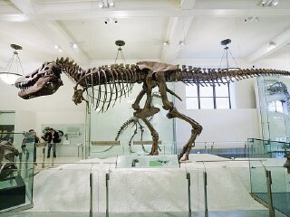 台江古生物化石博物馆