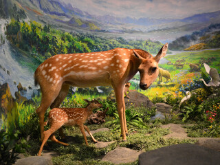 腾冲地热地质博物馆