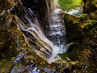 灵山寨自然保护区